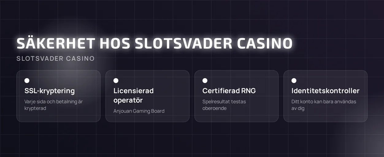 Granska kasinots säkerhetsfunktioner.
